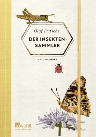 Cover Download Der Insektensammler
