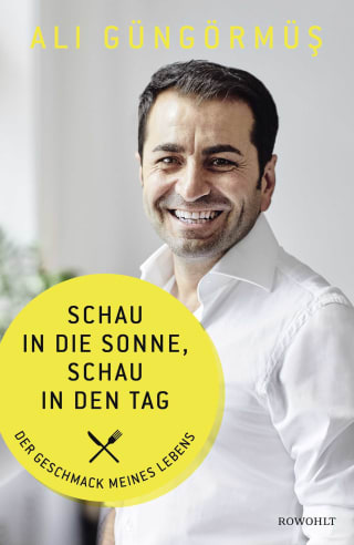 Cover Download Schau in die Sonne, schau in den Tag