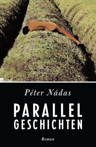 Cover Download Parallelgeschichten