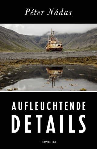 Cover Download Aufleuchtende Details