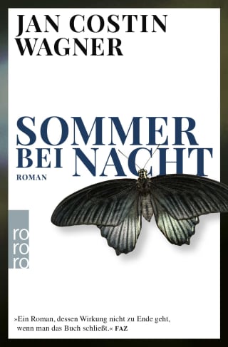 Sommer bei Nacht