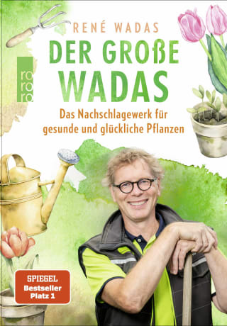 Der große Wadas