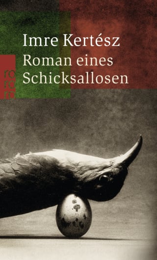 Cover Download Roman eines Schicksallosen