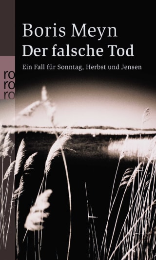 Cover Download Der falsche Tod