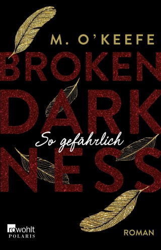 Cover Download Broken Darkness: So gefährlich