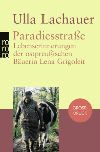 Cover Download Paradiesstraße