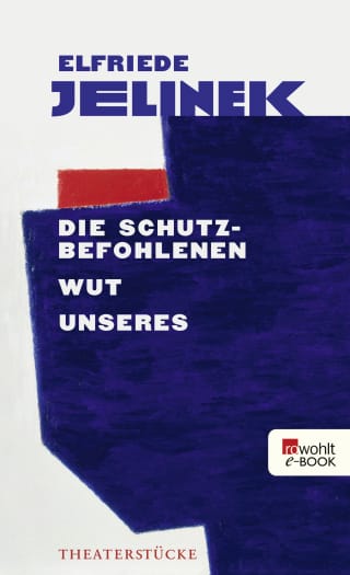 Cover Download Die Schutzbefohlenen. Wut. Unseres