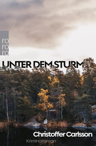 Cover Download Unter dem Sturm