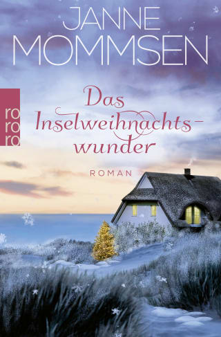 Cover Download Das Inselweihnachtswunder