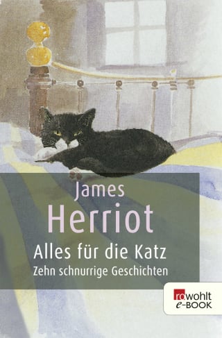 Alles für die Katz