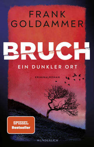 Cover Download Bruch: Ein dunkler Ort