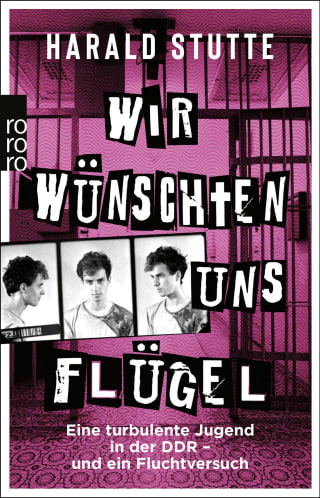 Cover Download Wir wünschten uns Flügel