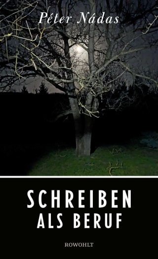 Cover Download Schreiben als Beruf