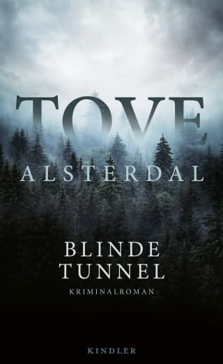 Cover Download Blinde Tunnel