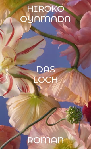 Cover Download Das Loch