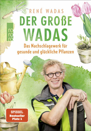 Cover Download Der große Wadas