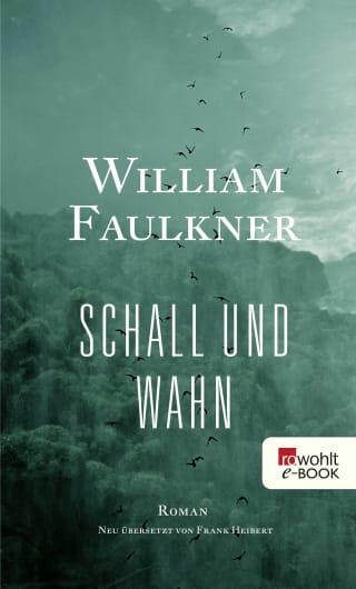 Cover Download Schall und Wahn