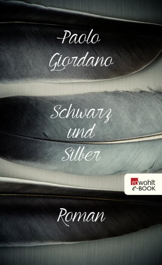 Schwarz und Silber