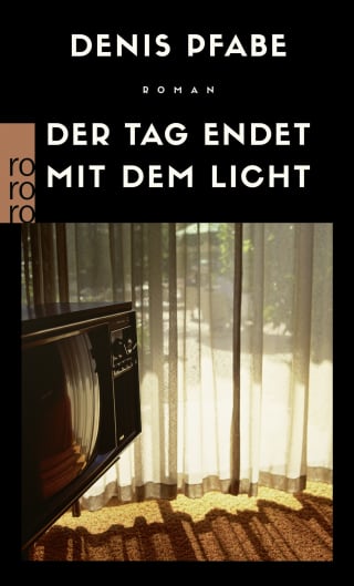 Cover Download Der Tag endet mit dem Licht