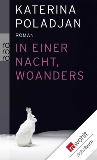 Cover Download In einer Nacht, woanders