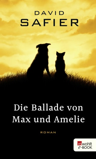 Cover Download Die Ballade von Max und Amelie