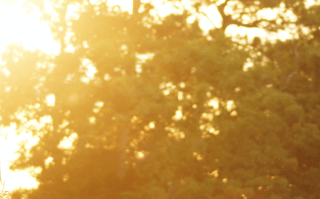 Kristina Pfister - Tage im warmen Licht