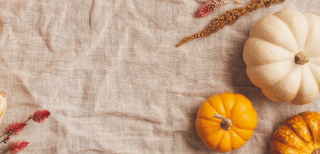 Unsere Herbstbuch-Tipps