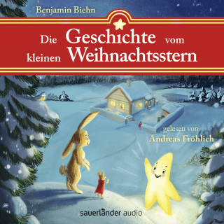 Hörbuchcover von Die Geschichte vom kleinen Weihnachtsstern: Ein Adventsabenteuer in 24 1/2 Kapiteln