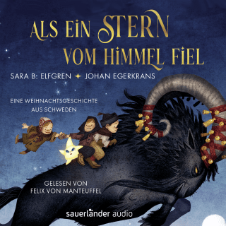 Hörbuchcover von Als ein Stern vom Himmel fiel: Eine Weihnachtsgeschichte aus Schweden