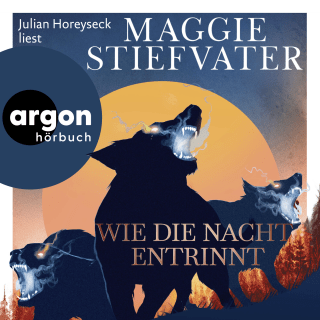 Hörbuchcover von Wie die Nacht entrinnt