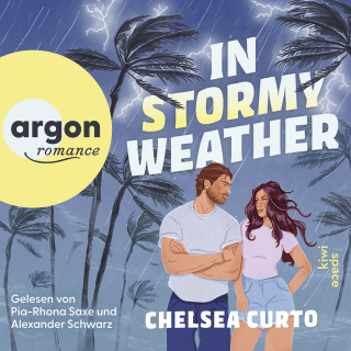 Hörbuchcover von In Stormy Weather