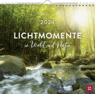 Wandkalender 2024: Lichtmomente in Wald und Natur