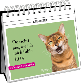 Postkartenkalender 2024: Du siehst aus, wie ich mich fühle