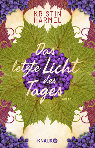 Buchcover von Das letzte Licht des Tages: Roman. Die dramatische Résistance-Geschichte einer französischen Familie bei Ausbruch des 2. Weltkriegs