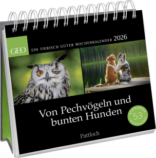 Postkartenkalender 2026: Von Pechvögeln und bunten Hunden