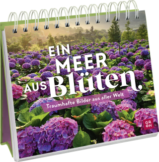Ein Meer aus Blüten