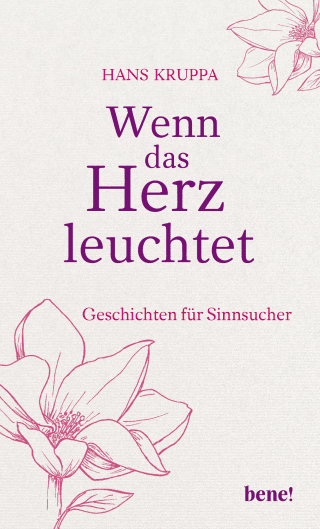 Buchcover von When the heart shines: Geschichten für Sinnsucher