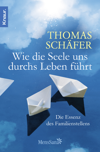 Buchcover von Wie die Seele uns durchs Leben führt: Die Essenz des Familienstellens