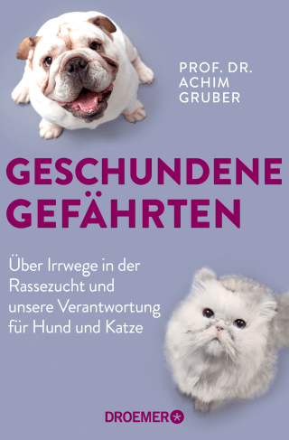 Geschundene Gefährten