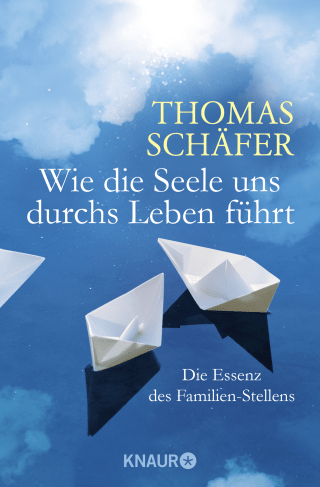 Buchcover von Wie die Seele uns durchs Leben führt: Die Essenz des Familien-Stellens