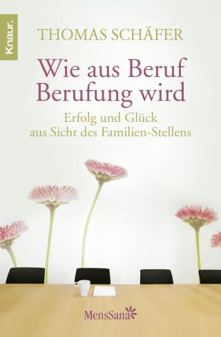 Buchcover von Wie aus Beruf Berufung wird: Erfolg und Glück aus Sicht des Familien-Stellens