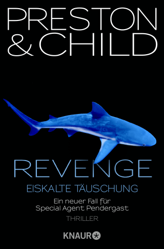 Revenge - Eiskalte Täuschung