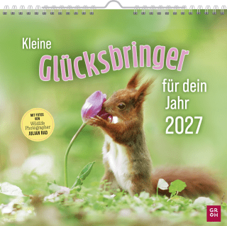 Produktbild von Wandkalender 2027: Kleine Glücksbringer für dein Jahr