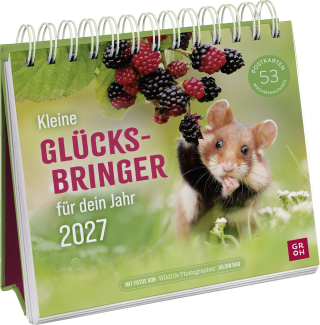 Produktbild von Postkartenkalender 2027: Kleine Glücksbringer für dein Jahr