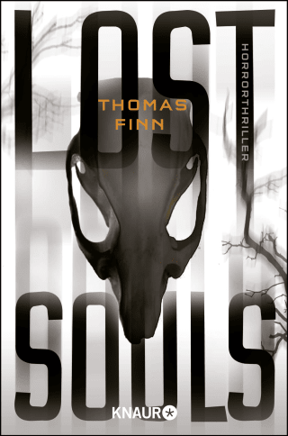 Buchcover von Lost Souls: Horrorthriller