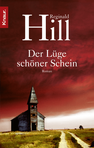 Buchcover von Der Lüge schöner Schein: Roman