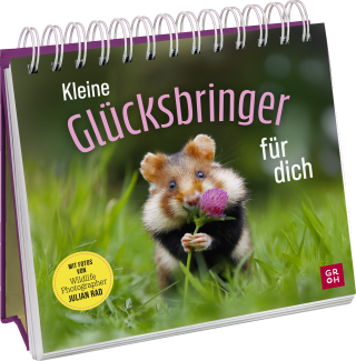 Kleine Glücksbringer für dich
