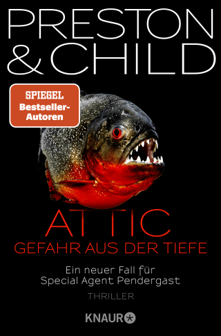 Buchcover von Attic: Gefahr aus der Tiefe. Thriller