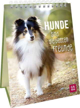Hunde sind die besten Freunde