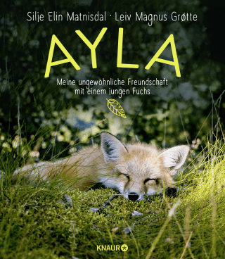 Buchcover von Ayla - meine ungewöhnliche Freundschaft mit einem jungen Fuchs